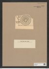 Hyalodiscus levis var. dojensis Pant. (de-Toni-Nr.: Genus 219, Species 5496) Zeichnungen Sammlung Grunow Nr. 9441 (NHMW-BOT-W0379297)